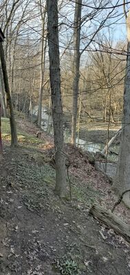20200407_175644.jpg