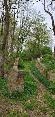 20200503_165433.jpg