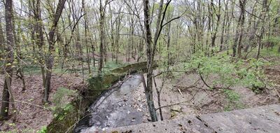 20200503_165707.jpg
