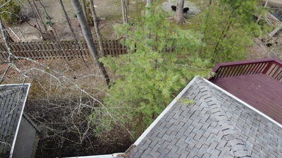 DJI_0017.JPG