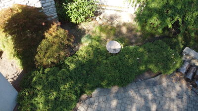 DJI_0060.JPG
