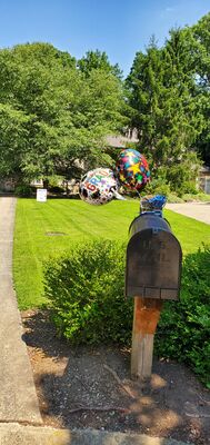 20200809_125147.jpg