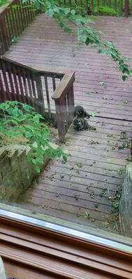 20200715_190937.jpg