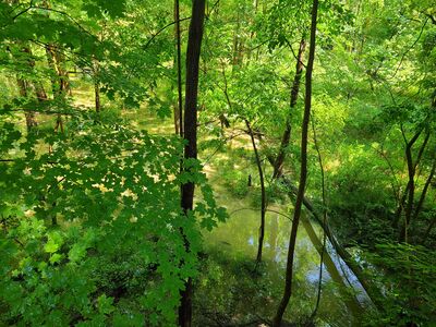 20200828_135943.jpg