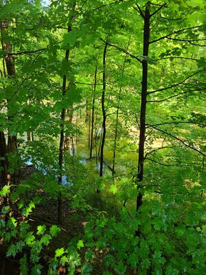 20200828_135952.jpg