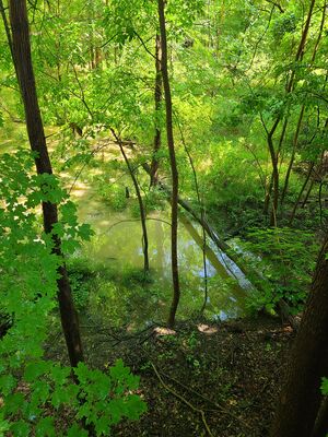 20200828_140000.jpg