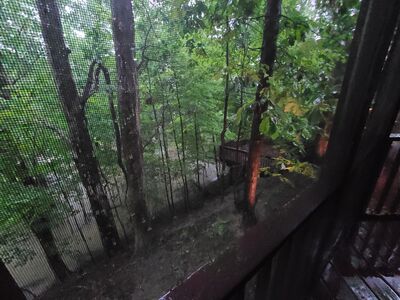 20200907_115319.jpg