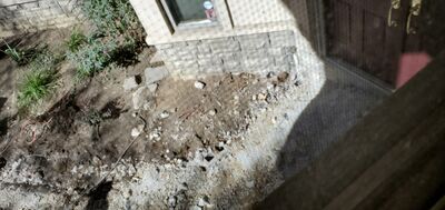 20201013_140814.jpg