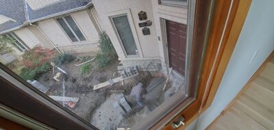 20201016_084014.jpg