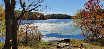 20201017_124559.jpg