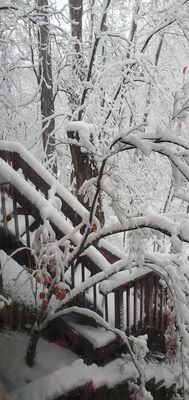 20201201_080251.jpg