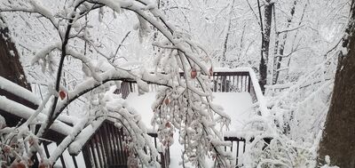 20201201_080304.jpg