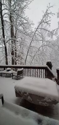 20201201_080753.jpg