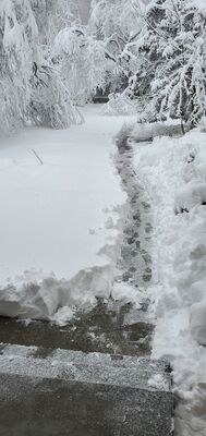 20201201_134536.jpg