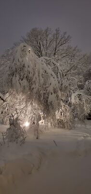 20201201_173835.jpg