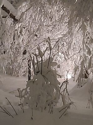 20201201_180434.jpg