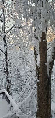 20201202_075235.jpg