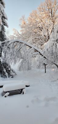20201202_075454.jpg