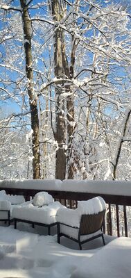 20201202_103707.jpg