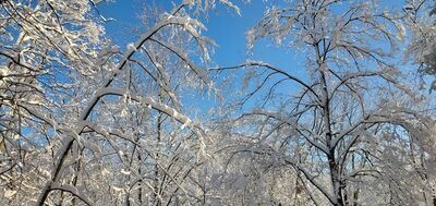 20201202_103722.jpg