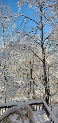20201202_103741.jpg