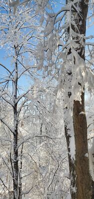 20201202_103823.jpg