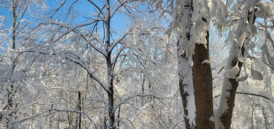 20201202_103850.jpg