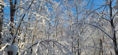 20201202_103923.jpg