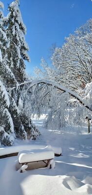 20201202_103952.jpg