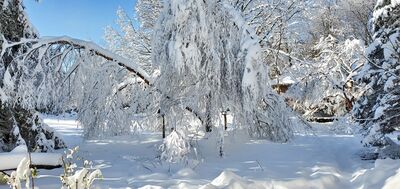 20201202_104105.jpg