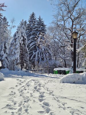 20201202_123021.jpg