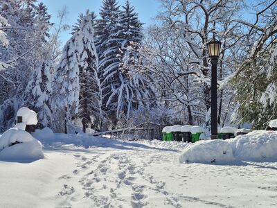 20201202_123027.jpg