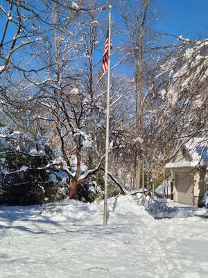 20201202_123036.jpg
