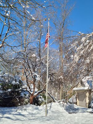 20201202_123039.jpg