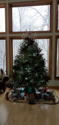 20201218_110200.jpg