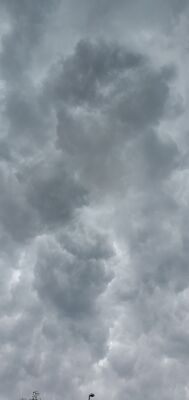 20210811_172917.jpg