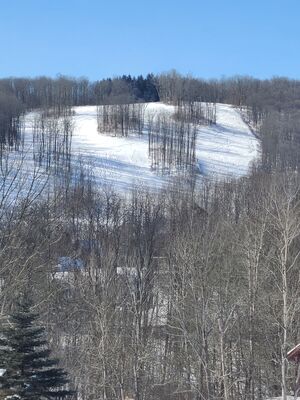 20220121_115100.jpg