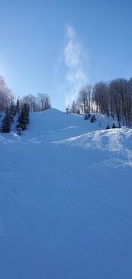 20220121_133449.jpg