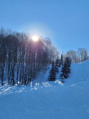 20220121_133454.jpg