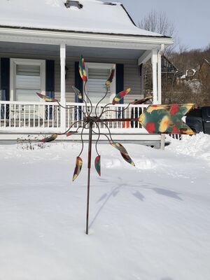 20220122_135236.jpg