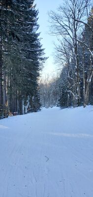 20220129_150325.jpg