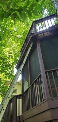 20220617_175150.jpg