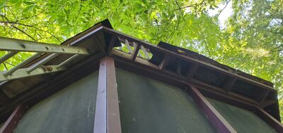 20220617_175200.jpg