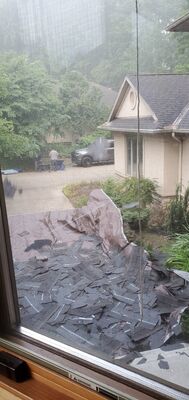 20220714_070640.jpg