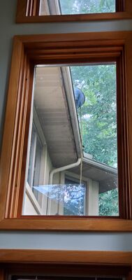 20220714_071041.jpg
