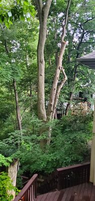 20220716_202508.jpg