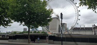 20220731_094148.jpg