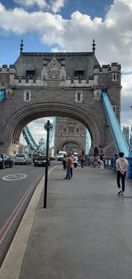 20220731_170820.jpg
