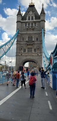 20220731_171056.jpg