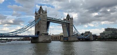 20220731_174501.jpg